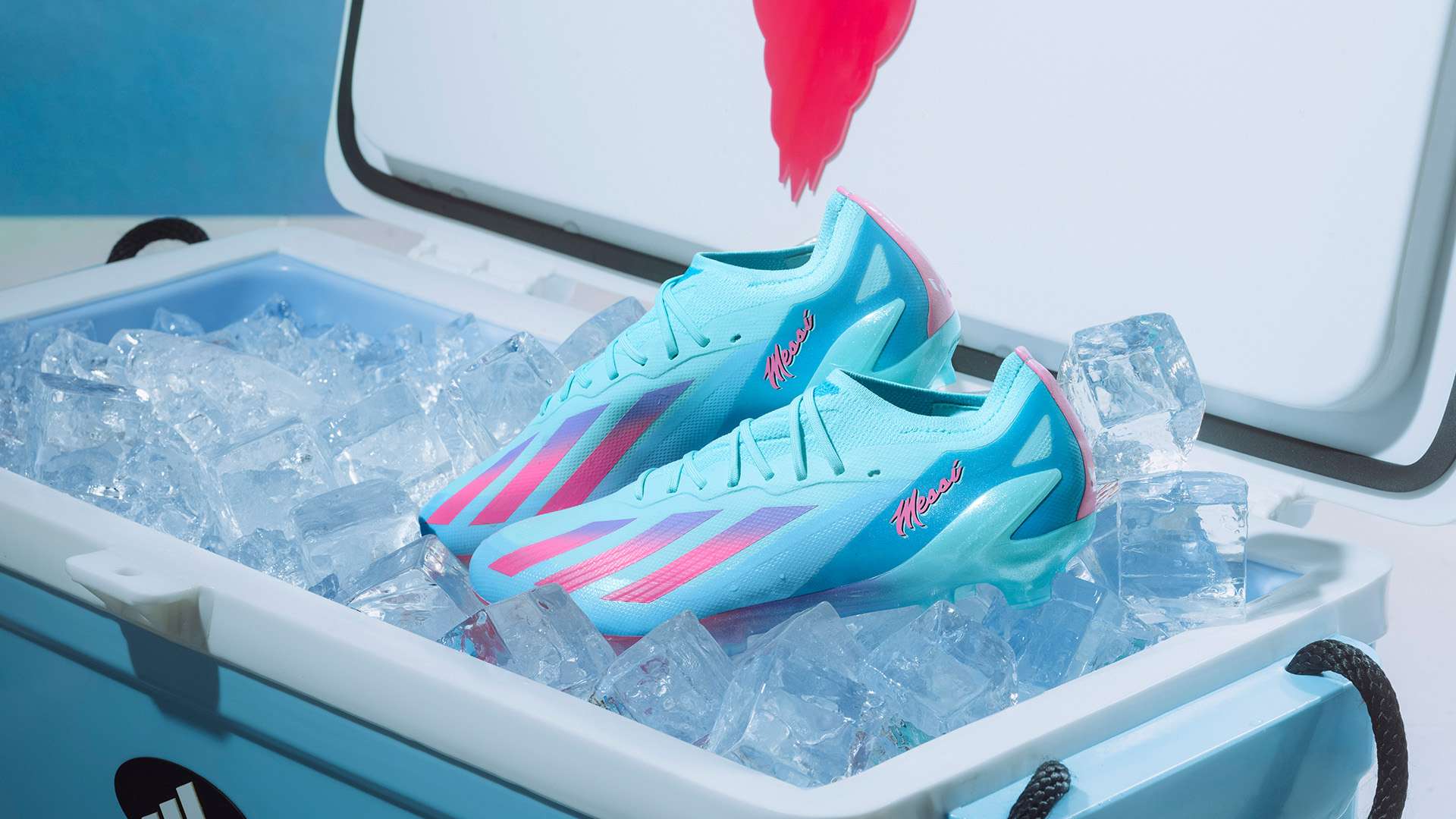 滑雪者梦寐 滑雪者梦寐