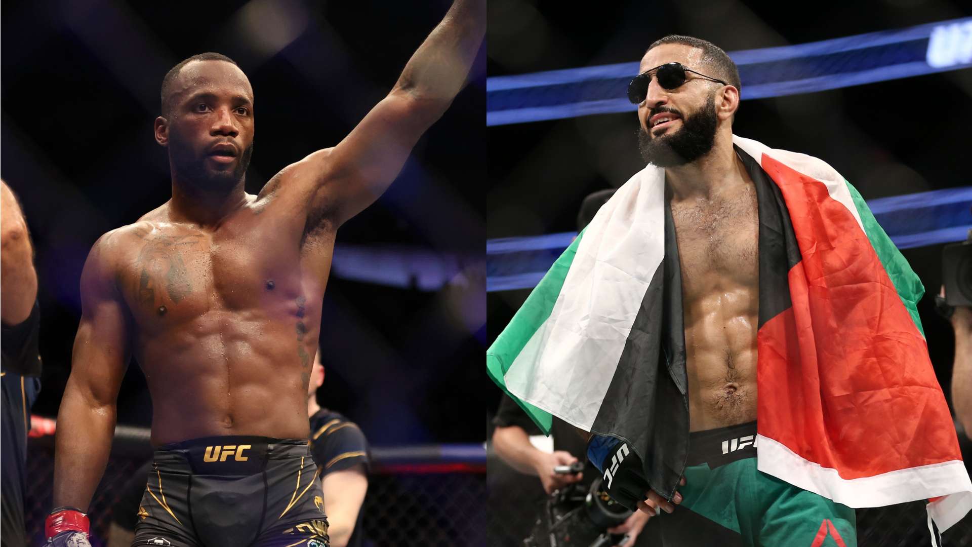 在比赛中 在比赛中